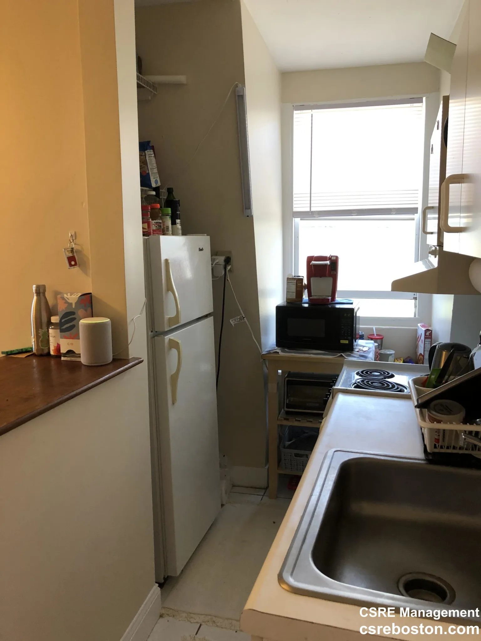 1 bed, 1 bath apartment for rent at 702 Massachusetts Ave Unit 8, South End — photo 5 of 14