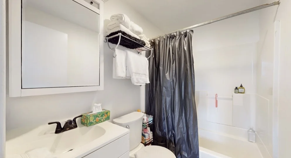 1 bed, 1 bath apartment for rent at 703 Massachusetts Ave Unit 17, Roxbury — photo 5 of 5