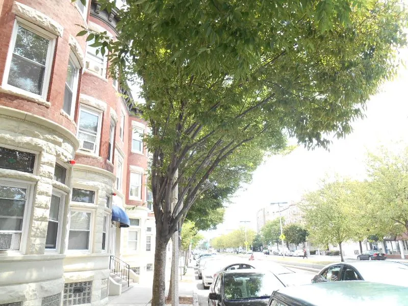 1 bed, 1 bath apartment for rent at 71 Brighton Ave Unit 5, Allston — photo 18 of 21