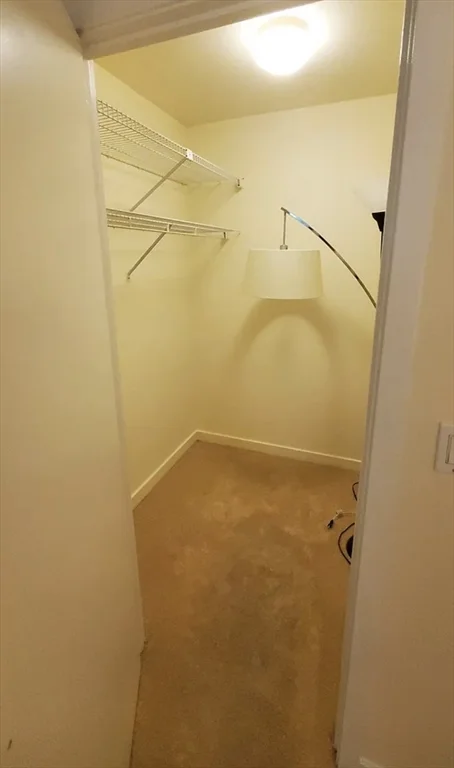 2 bed, 2 bath apartment for rent at 71 Fulkerson St Unit 111, East Cambridge — photo 12 of 14
