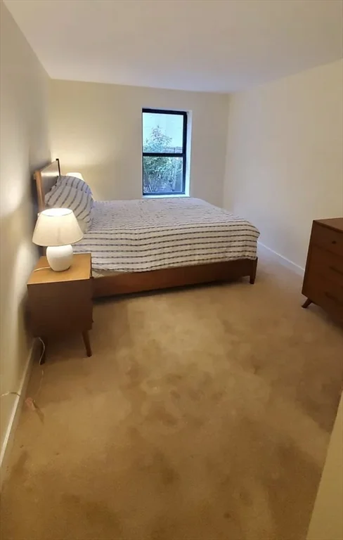 2 bed, 2 bath apartment for rent at 71 Fulkerson St Unit 111, East Cambridge — photo 11 of 14