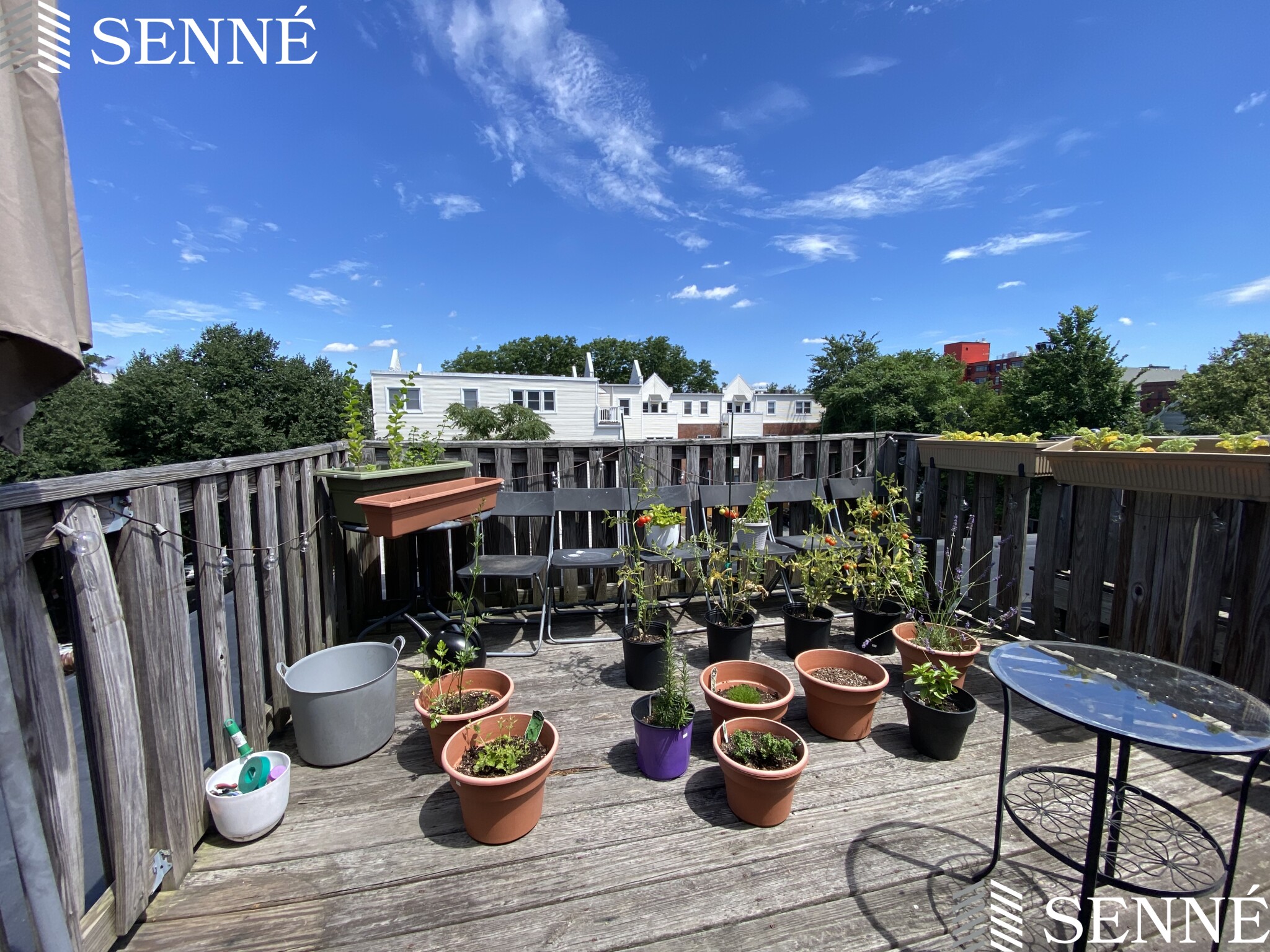 1 bed, 1 bath apartment for rent at 71 Fulkerson St Unit 310, East Cambridge — photo 8 of 13