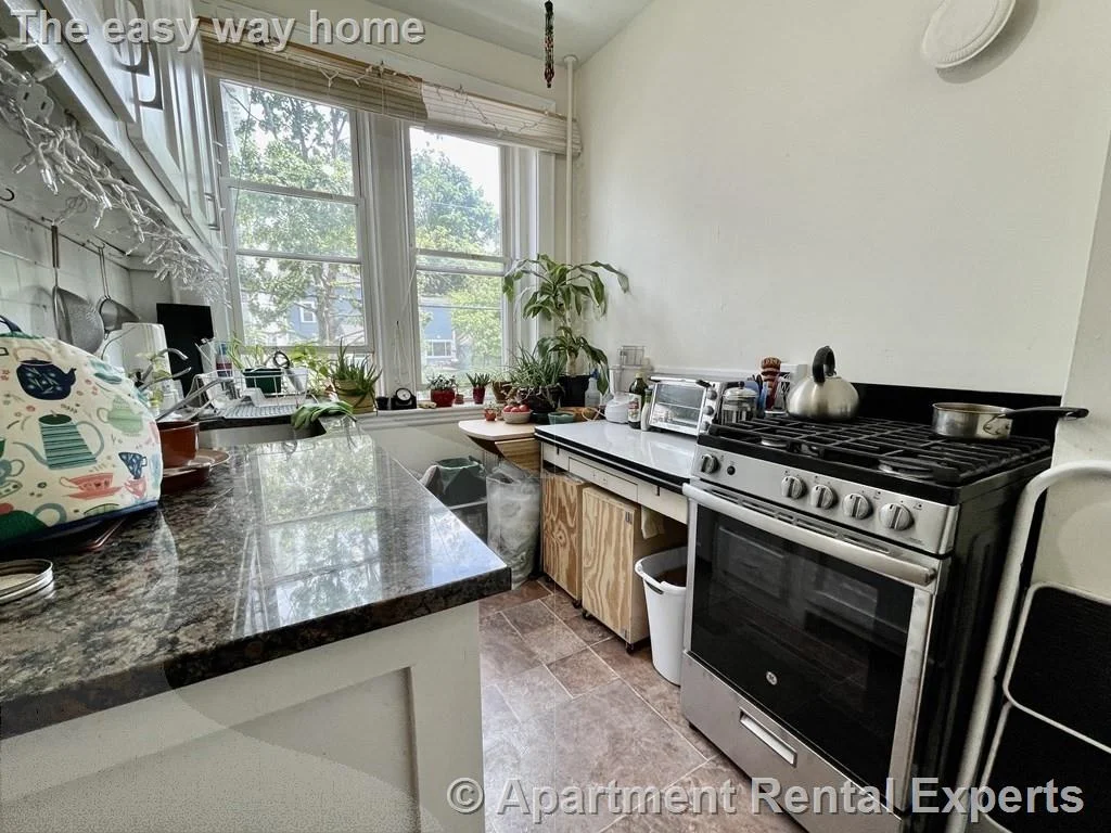 1 bed, 1 bath apartment for rent at 71 Martin St Unit 1, Harvard Square — photo 10 of 15