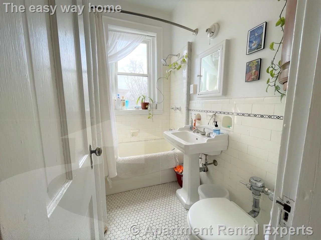 1 bed, 1 bath apartment for rent at 71 Martin St Unit 31, Harvard Square — photo 15 of 21