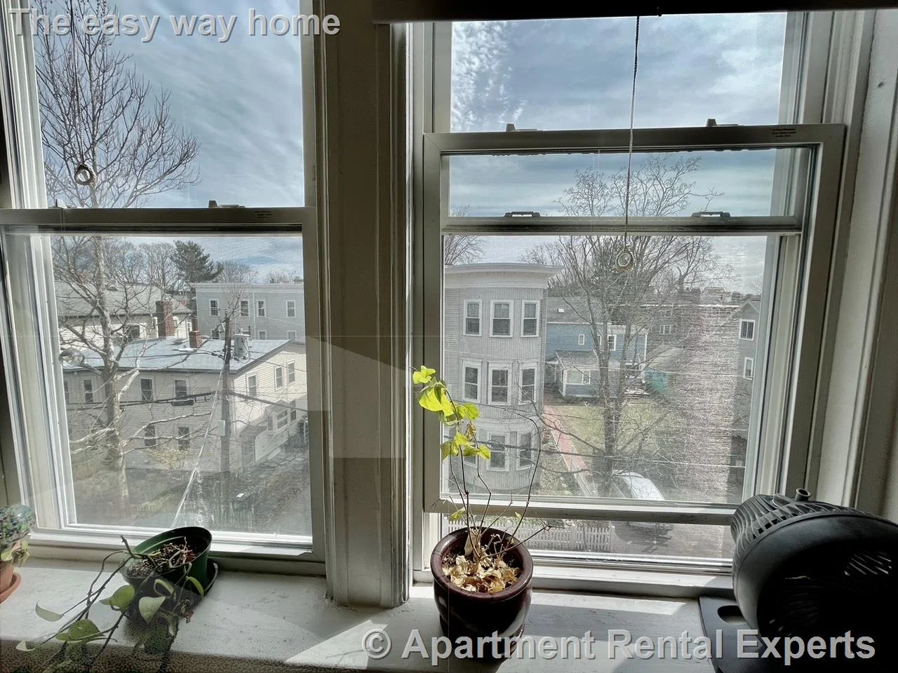 1 bed, 1 bath apartment for rent at 71 Martin St Unit 31, Harvard Square — photo 19 of 21