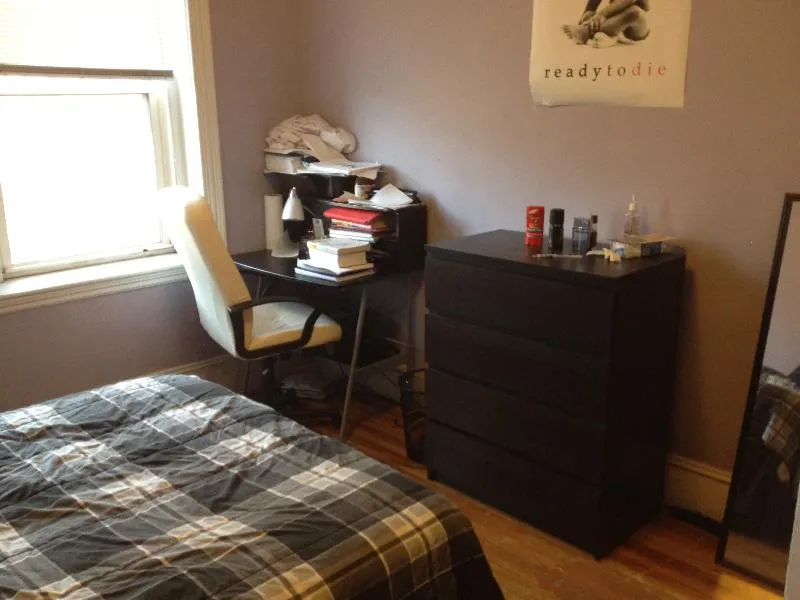 4 bed, 1 bath apartment for rent at 71 South Huntington Ave Unit 3, Mission Hill — photo 3 of 8