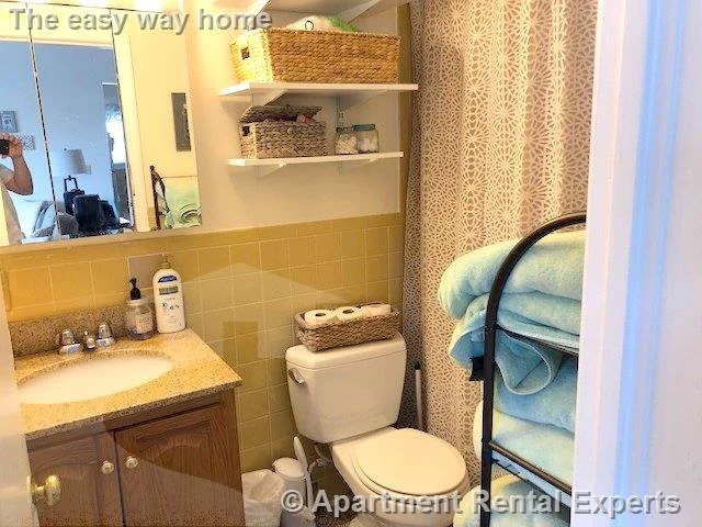 2 bed, 1 bath apartment for rent at 714 Broadway Unit 1, Ball Square — photo 7 of 9