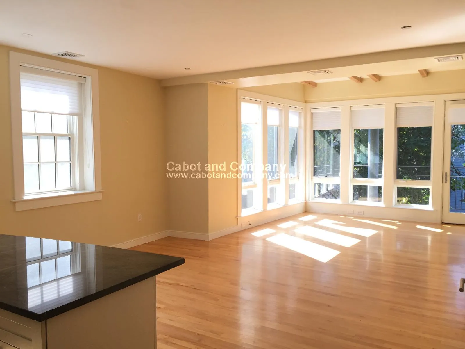 2 bed, 2.5 bath apartment for rent at 72 Hamilton St Unit 7A, Cambridgeport — photo 2 of 10