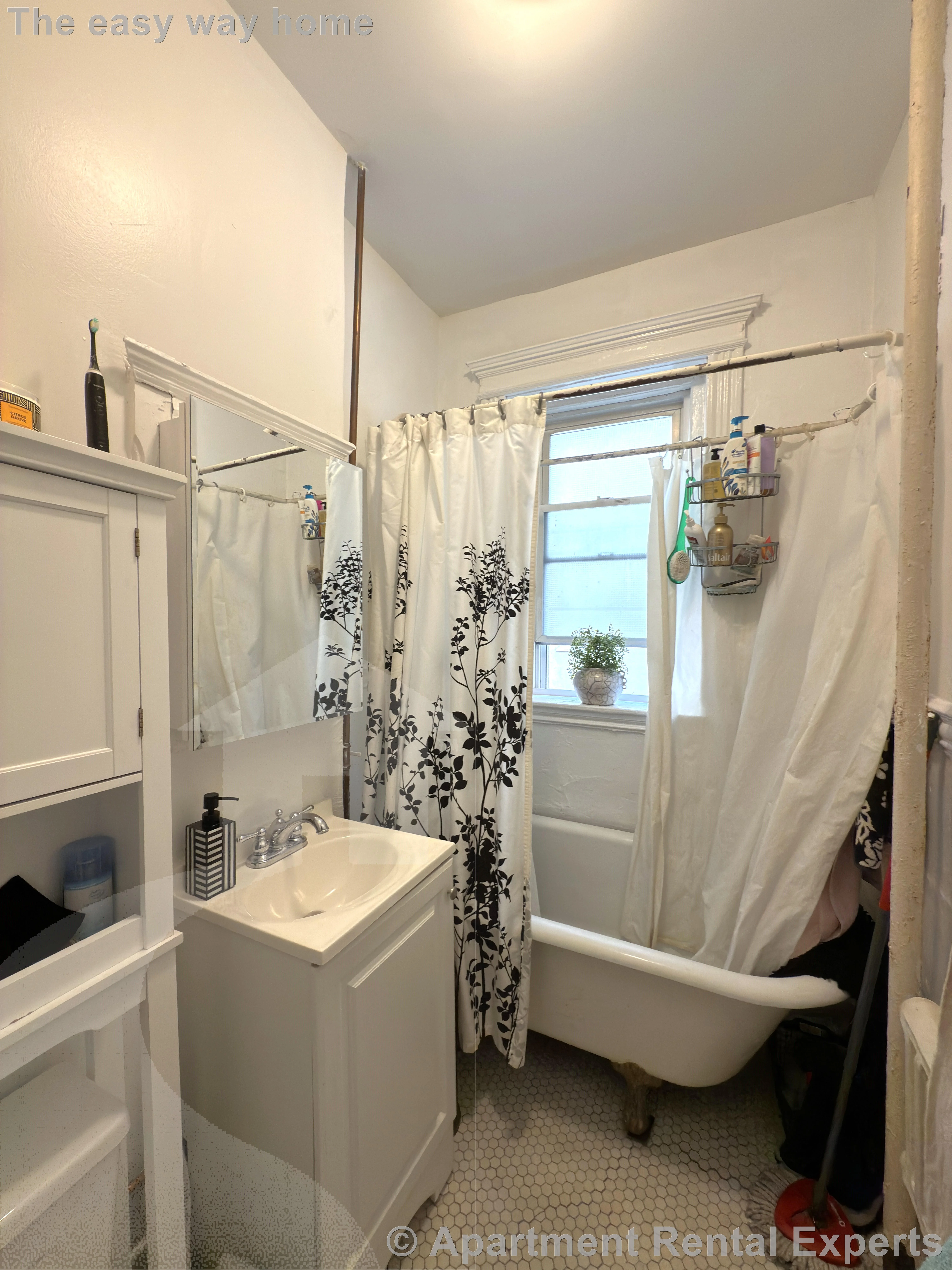 1 bed, 1 bath apartment for rent at 72 Kirkland St Unit 4, Harvard Square — photo 3 of 6