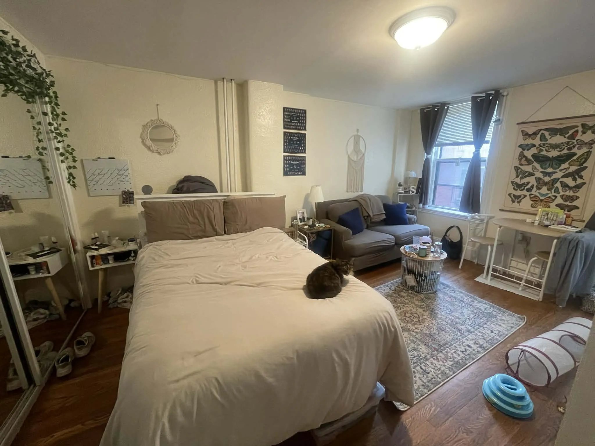 Studio bed, 1 bath apartment for rent at 72 Revere St Unit 4, Beacon Hill — photo 3 of 14