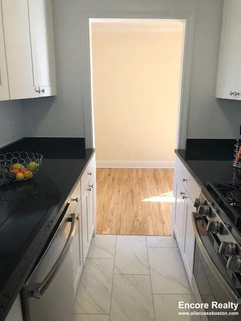 1 bed, 1 bath apartment for rent at 72 Saint Paul St Unit 6, Coolidge Corner — photo 2 of 8