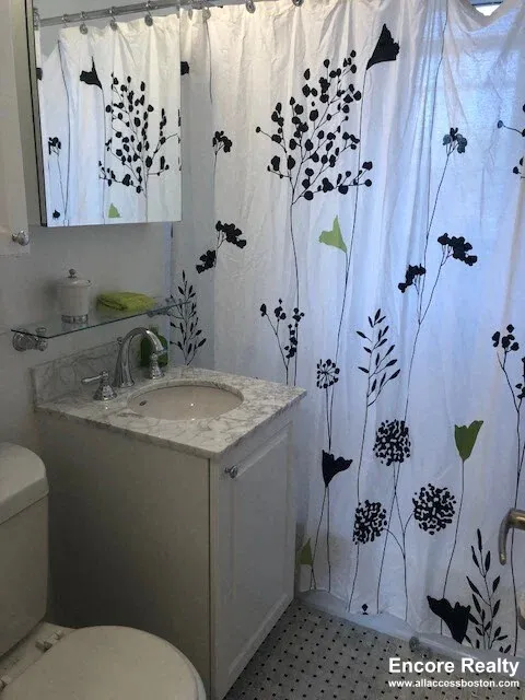 1 bed, 1 bath apartment for rent at 72 Saint Paul St Unit 6, Coolidge Corner — photo 6 of 8