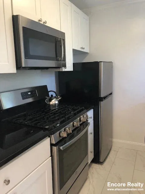 1 bed, 1 bath apartment for rent at 72 Saint Paul St Unit 6, Coolidge Corner — photo 1 of 8