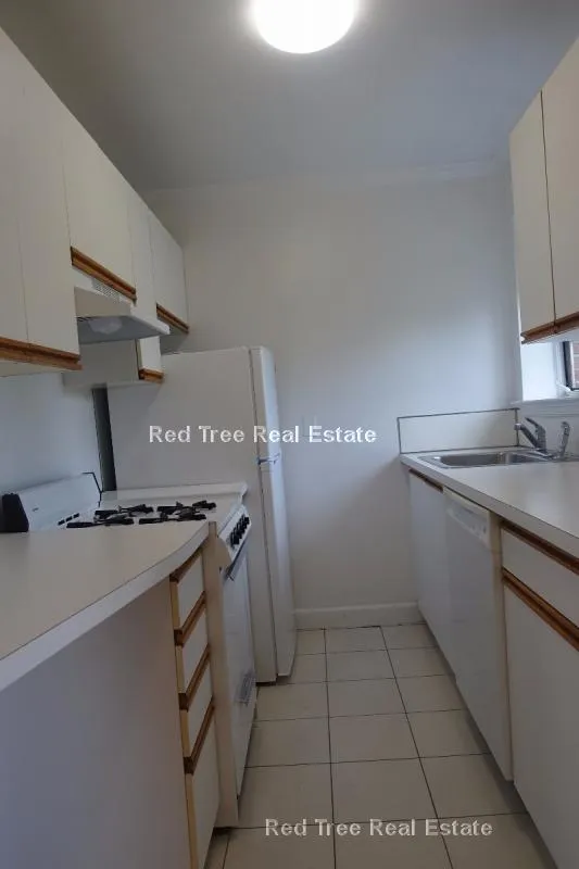 1 bed, 1 bath apartment for rent at 72 Saint Paul St Unit 7, Coolidge Corner — photo 7 of 8