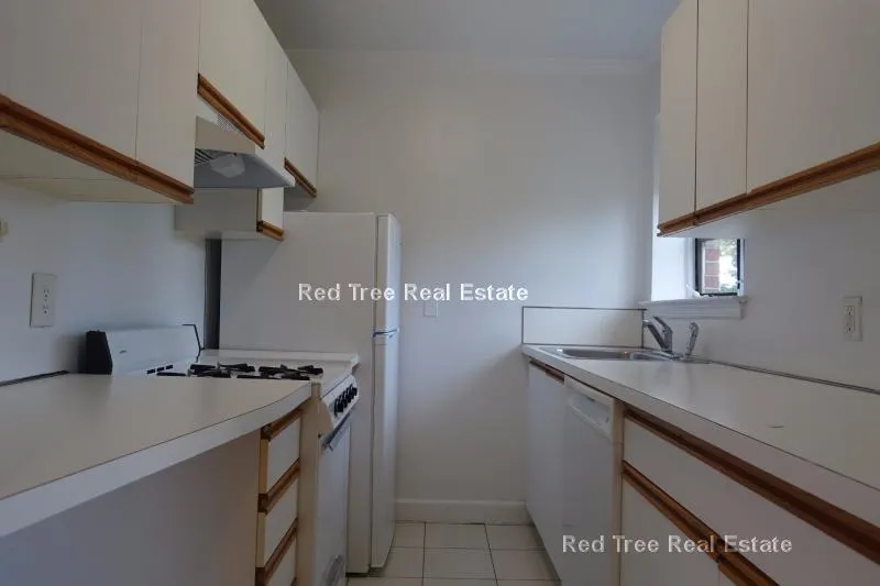 1 bed, 1 bath apartment for rent at 72 Saint Paul St Unit 7, Coolidge Corner — photo 8 of 8