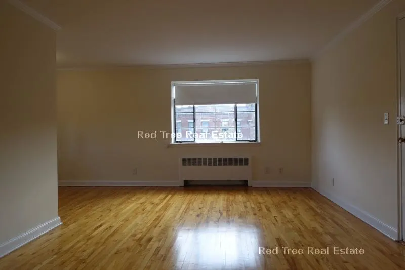 1 bed, 1 bath apartment for rent at 72 Saint Paul St Unit 7, Coolidge Corner — photo 4 of 8