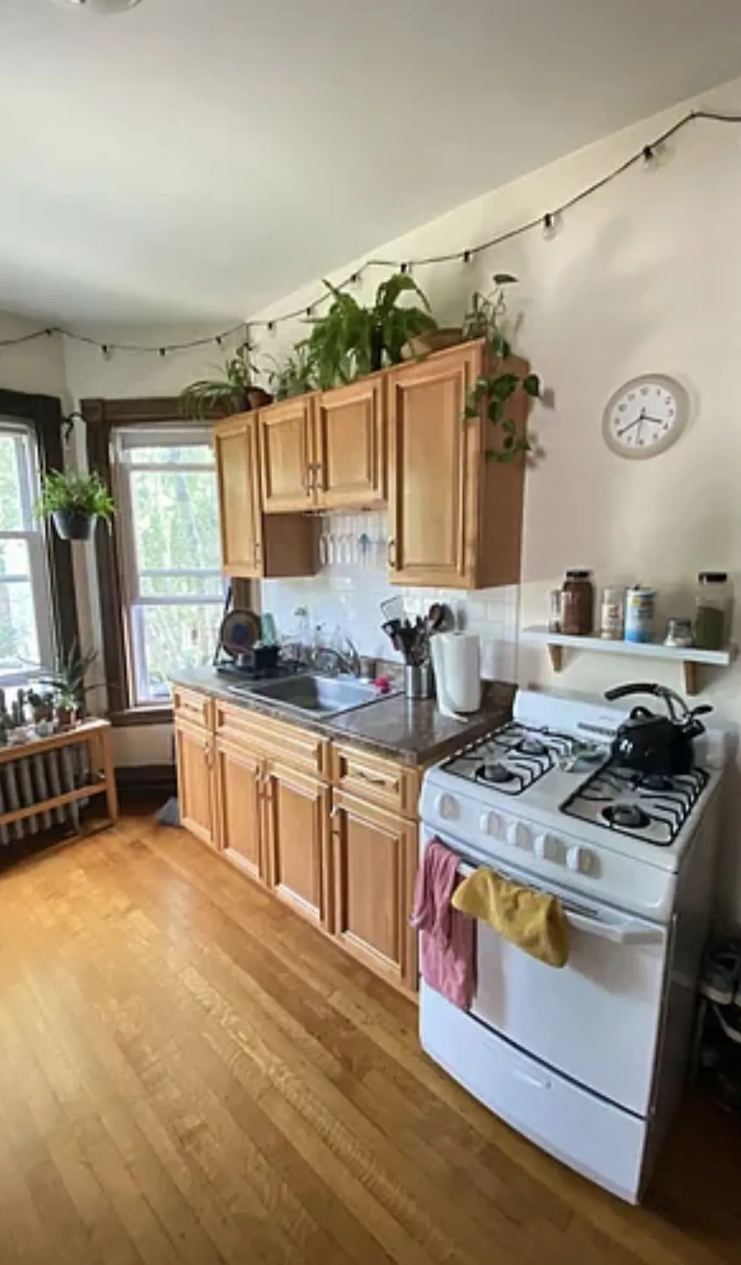 1 bed, 1 bath apartment for rent at 72 Thurston St Unit 2, Winter Hill — photo 6 of 24