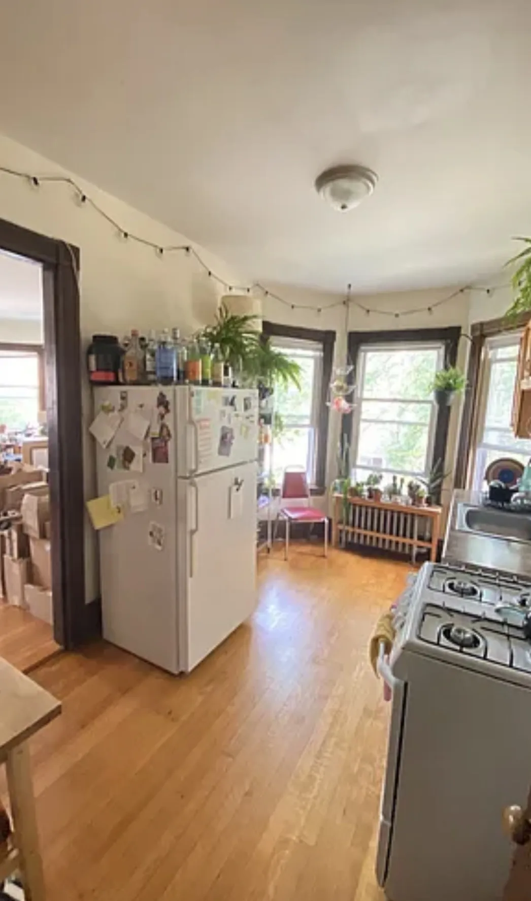 1 bed, 1 bath apartment for rent at 72 Thurston St Unit 2A, Winter Hill — photo 10 of 24