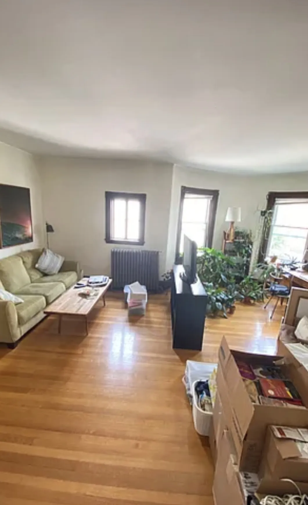 1 bed, 1 bath apartment for rent at 72 Thurston St Unit 2A, Winter Hill — photo 4 of 24