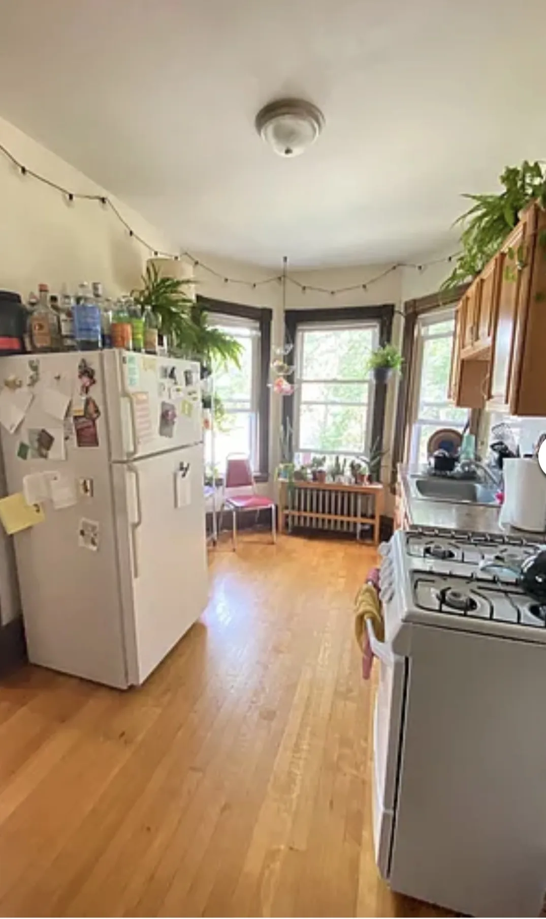 1 bed, 1 bath apartment for rent at 72 Thurston St Unit 2A, Winter Hill — photo 8 of 24