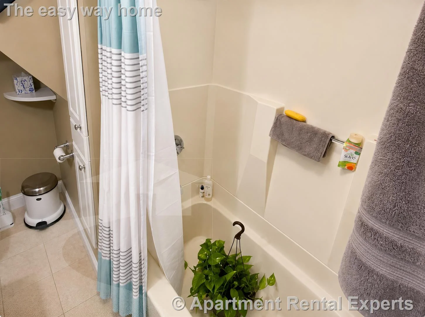 1 bed, 1 bath apartment for rent at 72 Thurston St Unit 3, Winter Hill — photo 23 of 24