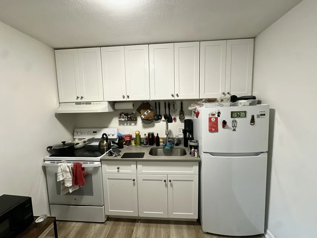 1 bed, 1 bath apartment for rent at 720 Bennington Unit 210, East Boston — photo 2 of 12