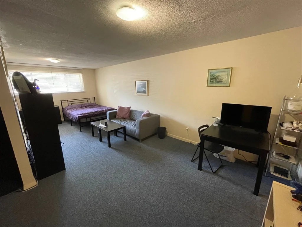 Studio bed, 1 bath apartment for rent at 73 Charlesbank Rd Unit 101, Newton Corner — photo 5 of 9