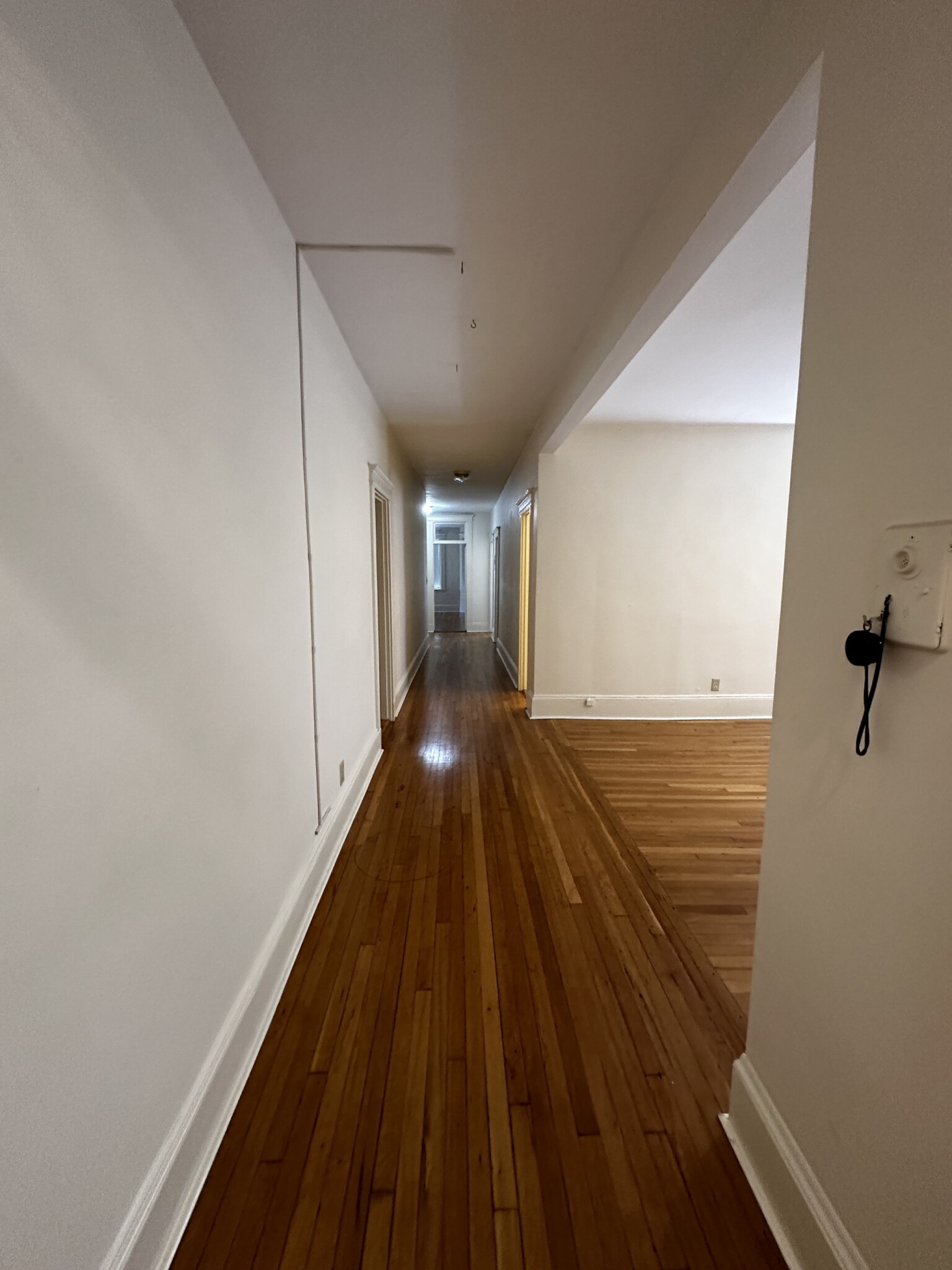 2 bed, 2 bath apartment for rent at 73 Longwood Ave Unit 2R, Longwood — photo 4 of 18