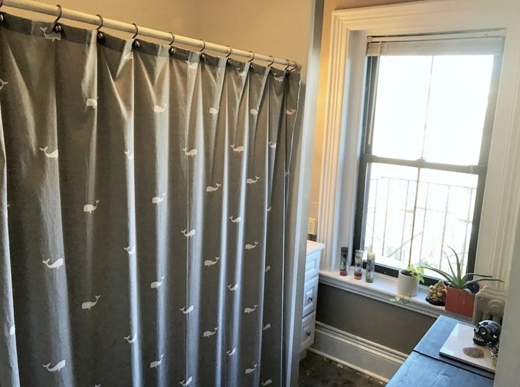 1 bed, 1 bath apartment for rent at 73 Montgomery St Unit 3, South End — photo 7 of 8