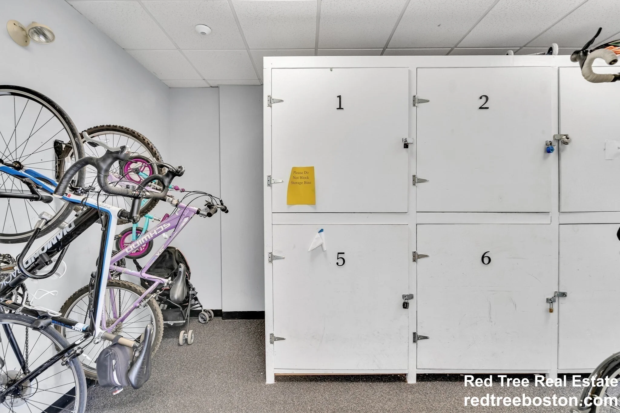 1 bed, 1 bath apartment for rent at 73 River St Unit 3B, Cambridge — photo 8 of 10