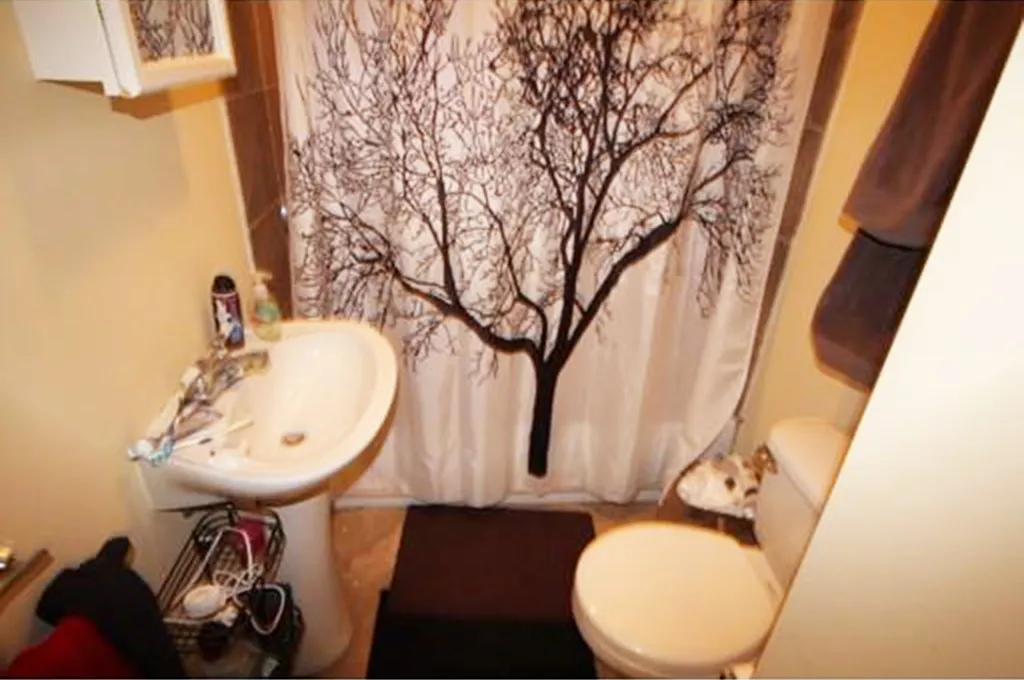 4 bed, 2 bath apartment for rent at 731 Parker St Unit 2, Mission Hill — photo 13 of 33