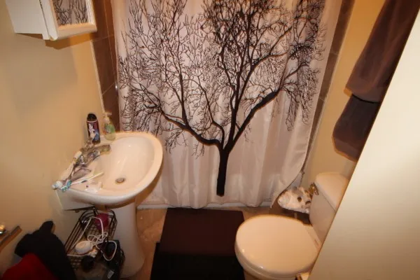 4 bed, 1 bath apartment for rent at 731 Parker St Unit 3, Mission Hill — photo 5 of 16