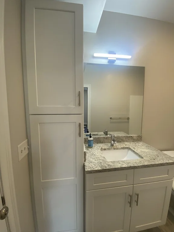 1 bed, 1 bath apartment for rent at 734 South St Unit 3, Roslindale — photo 10 of 41