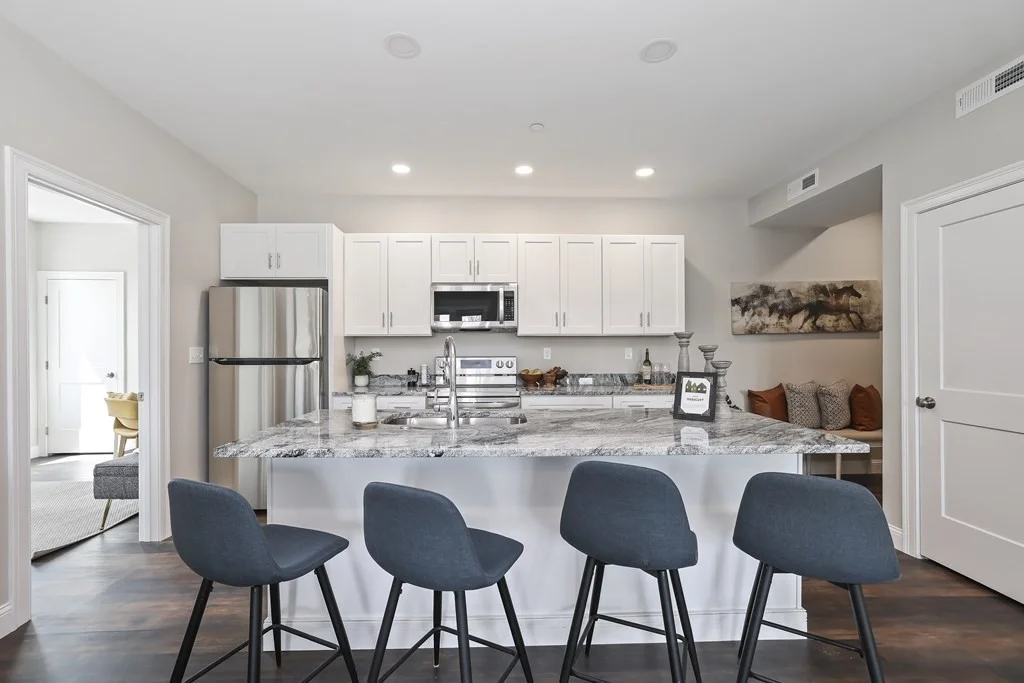 2 bed, 2 bath apartment for rent at 734 South St Unit 4, Roslindale — photo 1 of 42