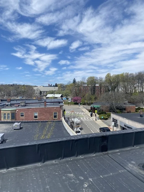 2 bed, 2 bath apartment for rent at 734 South St Unit 8, Roslindale — photo 29 of 30