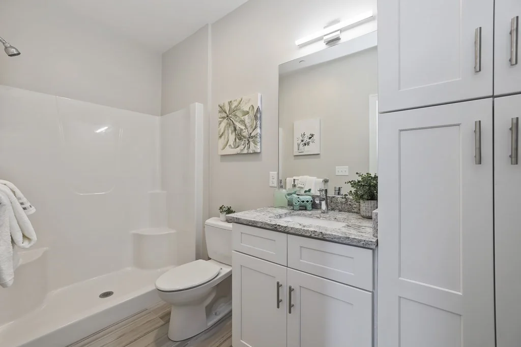 2 bed, 2 bath apartment for rent at 734 South St Unit 8, Roslindale — photo 9 of 30