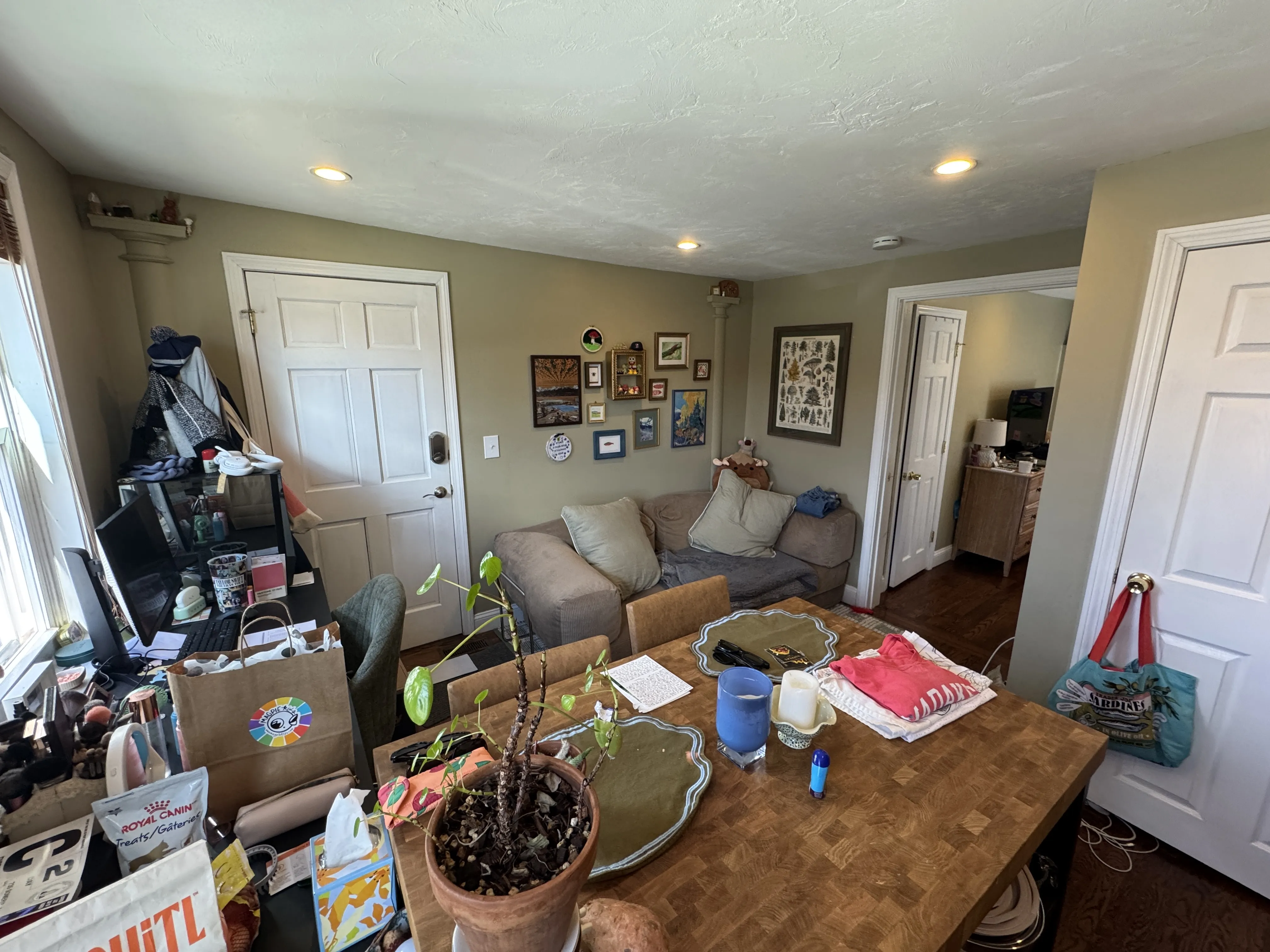 1 bed, 1 bath apartment for rent at 735 Somerville Ave Unit 1, Spring Hill — photo 4 of 10