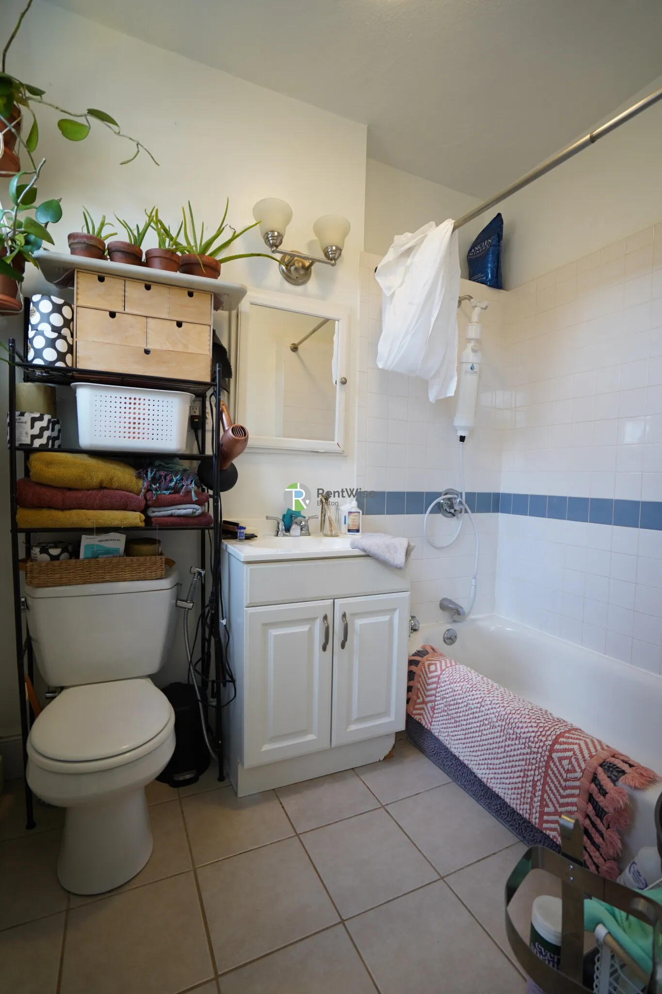 Studio bed, 1 bath apartment for rent at 74 Brainerd Rd Unit 14, Allston — photo 5 of 9