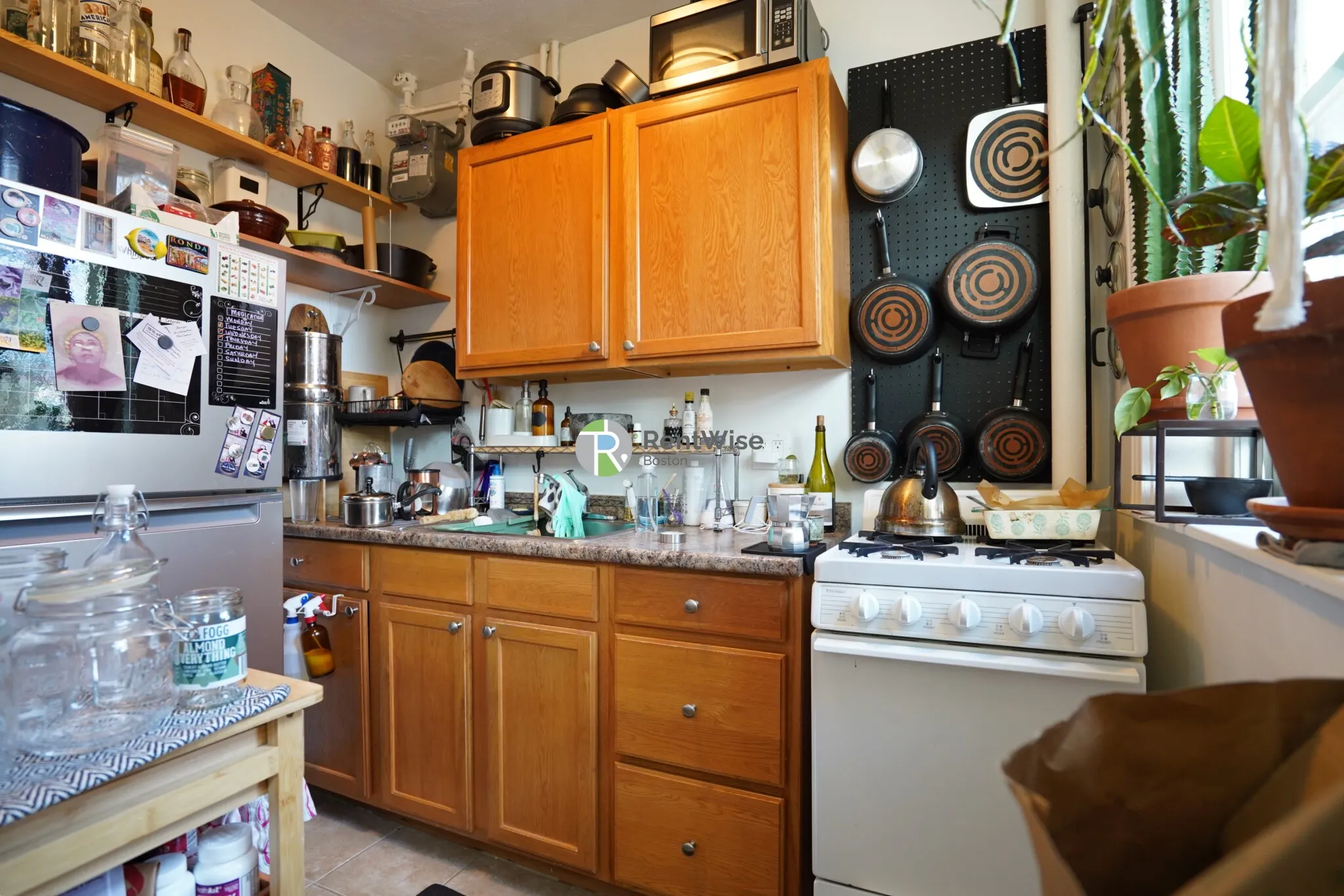 Studio bed, 1 bath apartment for rent at 74 Brainerd Rd Unit 14, Allston — photo 2 of 9