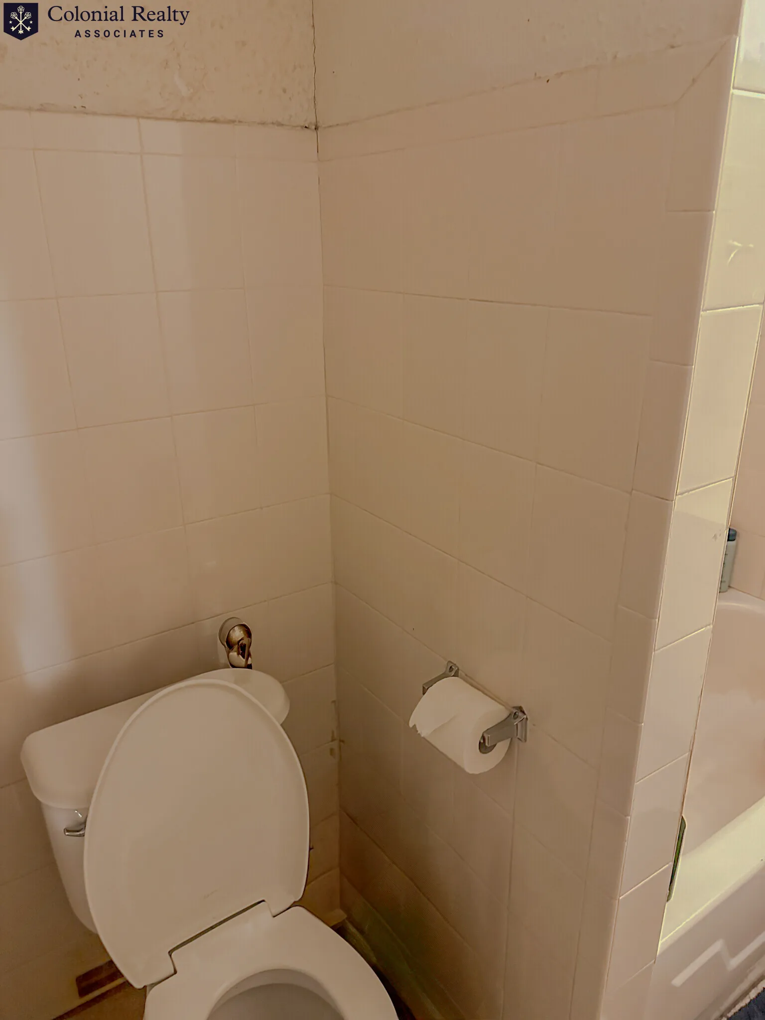 3 bed, 1 bath apartment for rent at 74 Egmont St Unit 02, North Brookline — photo 21 of 36