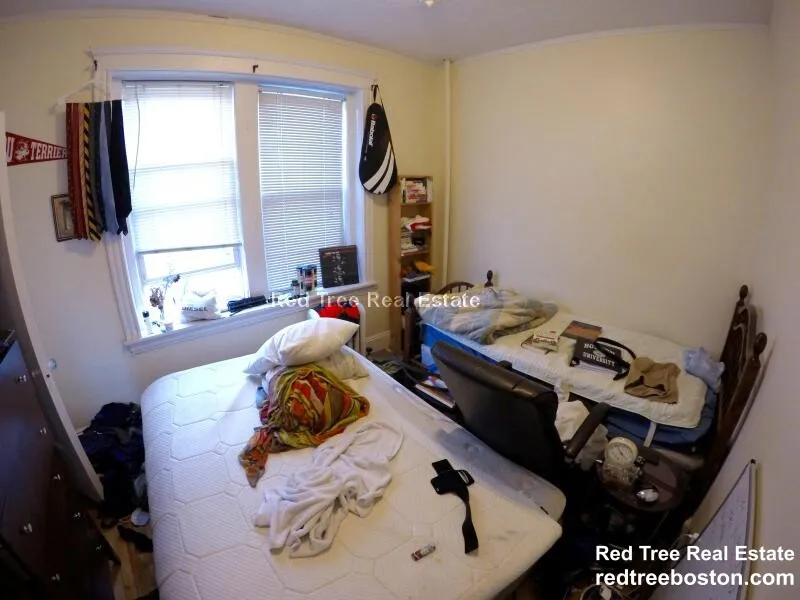 3 bed, 1 bath apartment for rent at 74 Egmont St Unit 2, North Brookline — photo 17 of 20