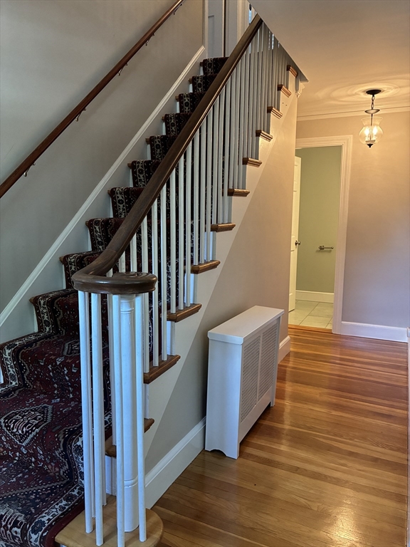 3 bed, 2 bath apartment for rent at 74 Munroe St, Belmont — photo 17 of 19