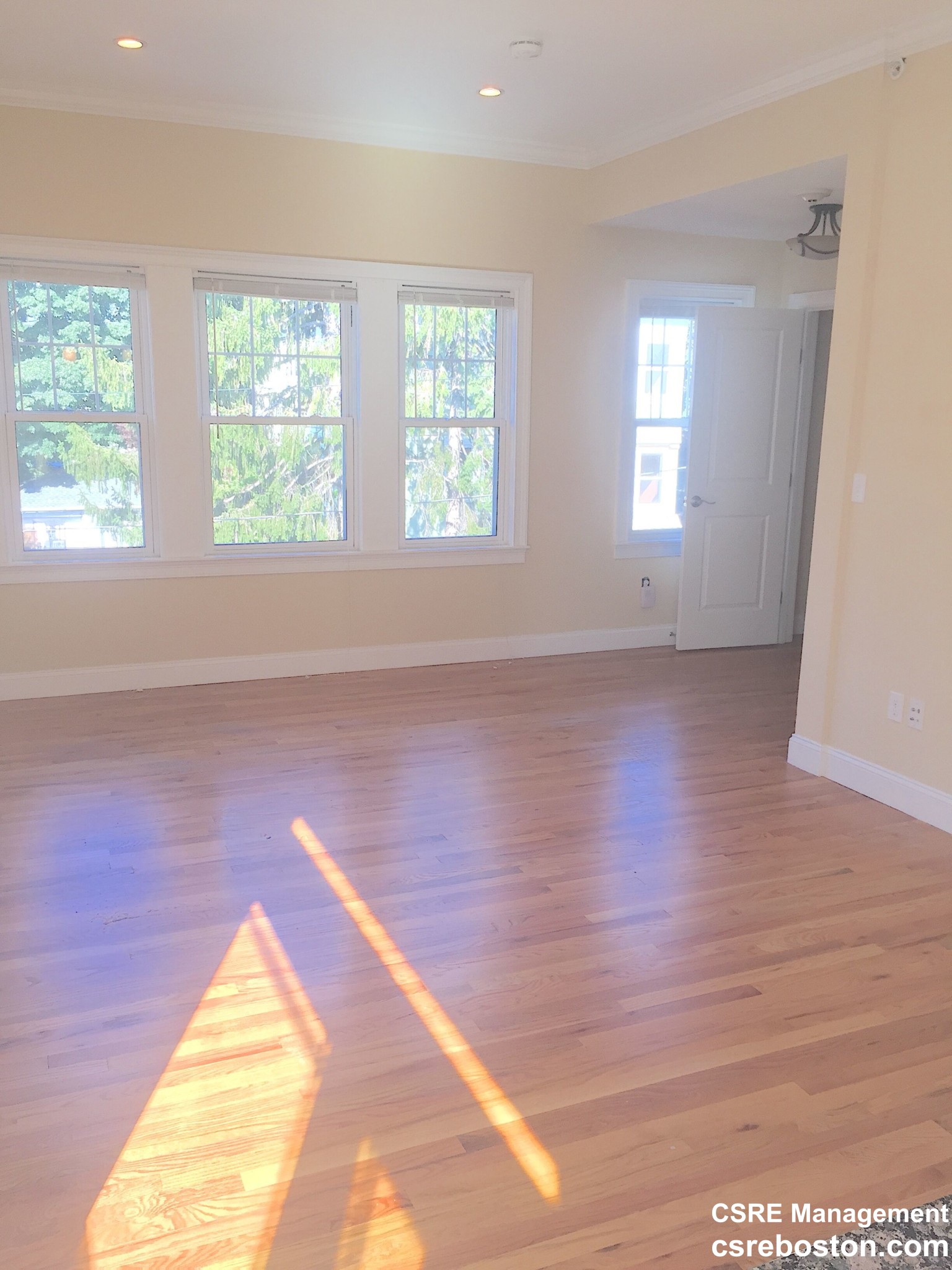 4 bed, 2 bath apartment for rent at 75 Beechcroft St Unit 3, Brighton — photo 3 of 6