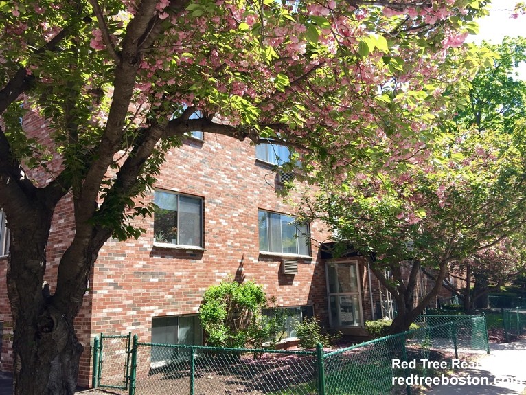 1 bed, 1 bath apartment for rent at 75 Gardner St Unit 26, Allston — photo 2 of 2