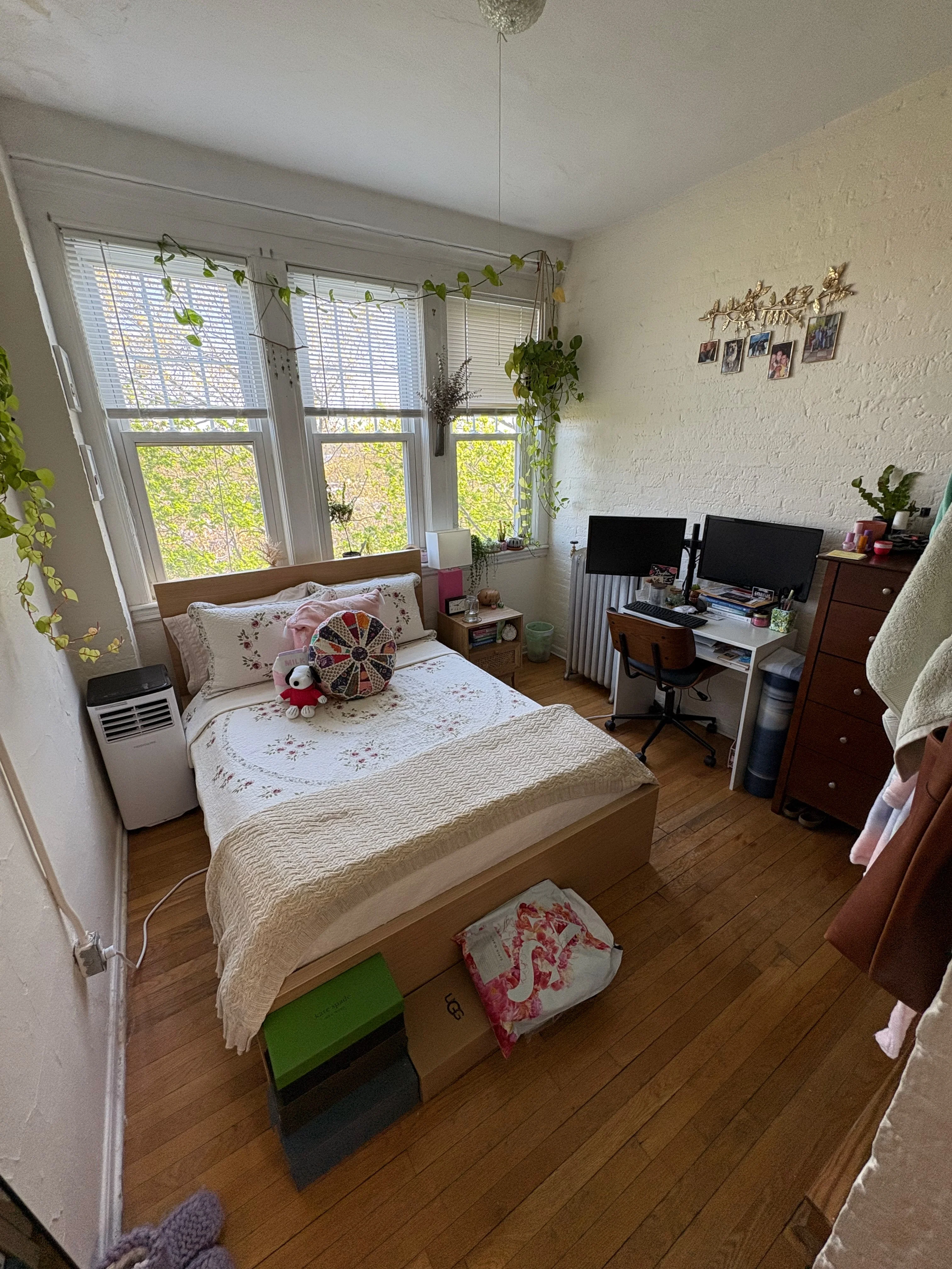 3 bed, 1 bath apartment for rent at 75 Nottinghill Rd Unit 10, Brighton — photo 6 of 11