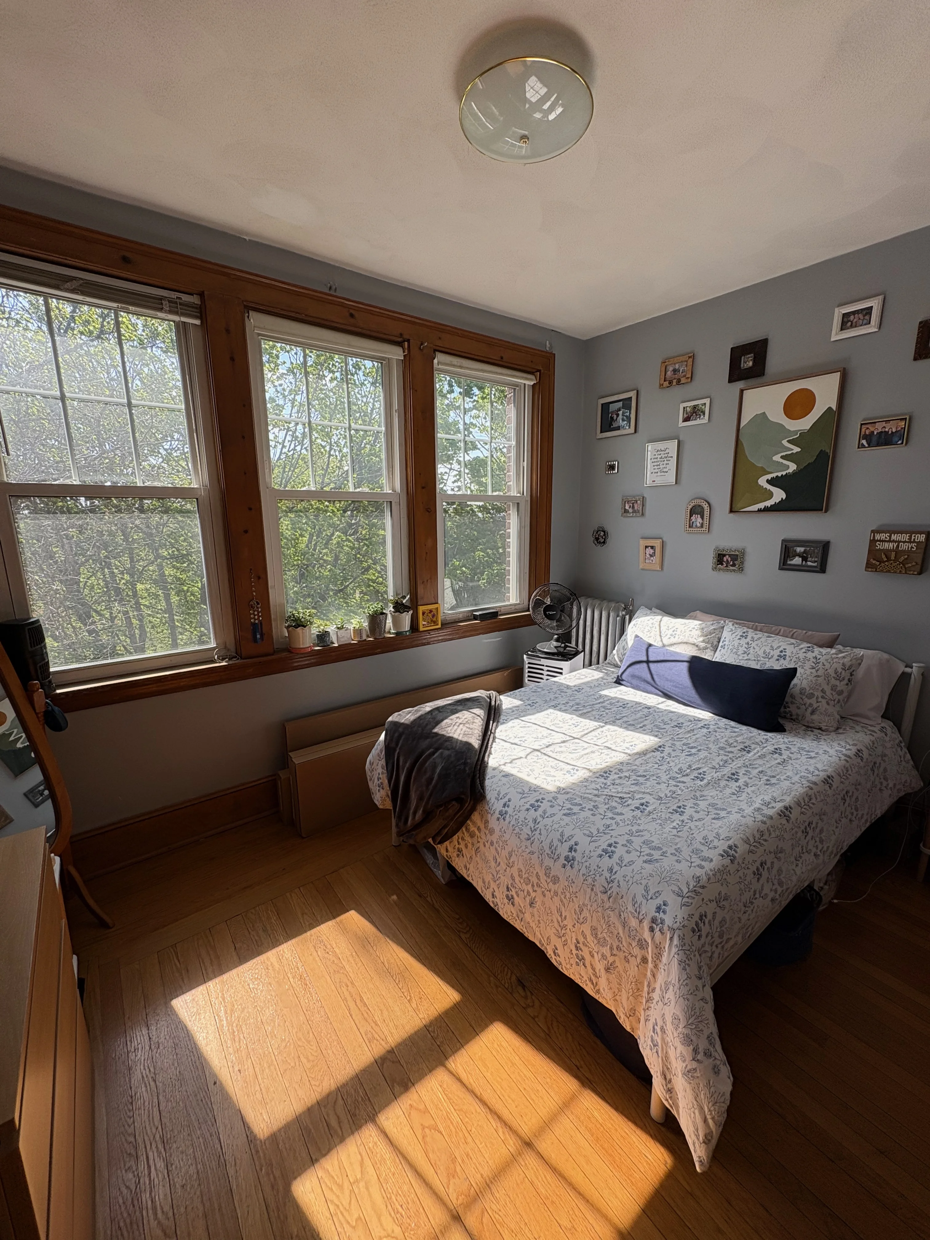 3 bed, 1 bath apartment for rent at 75 Nottinghill Rd Unit 10, Brighton — photo 8 of 11