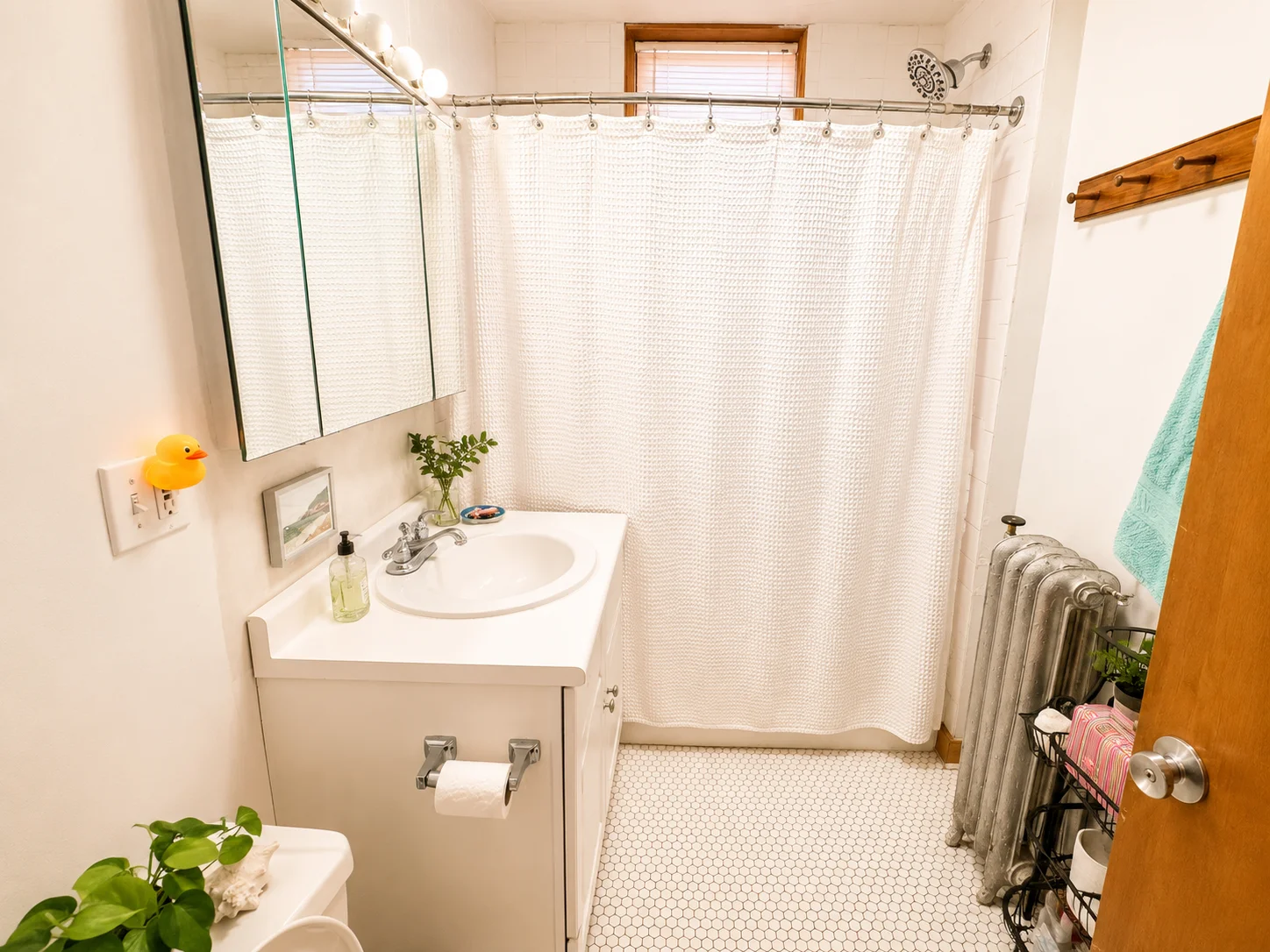 3 bed, 1 bath apartment for rent at 75 Nottinghill Rd Unit 3, Brighton — photo 7 of 9