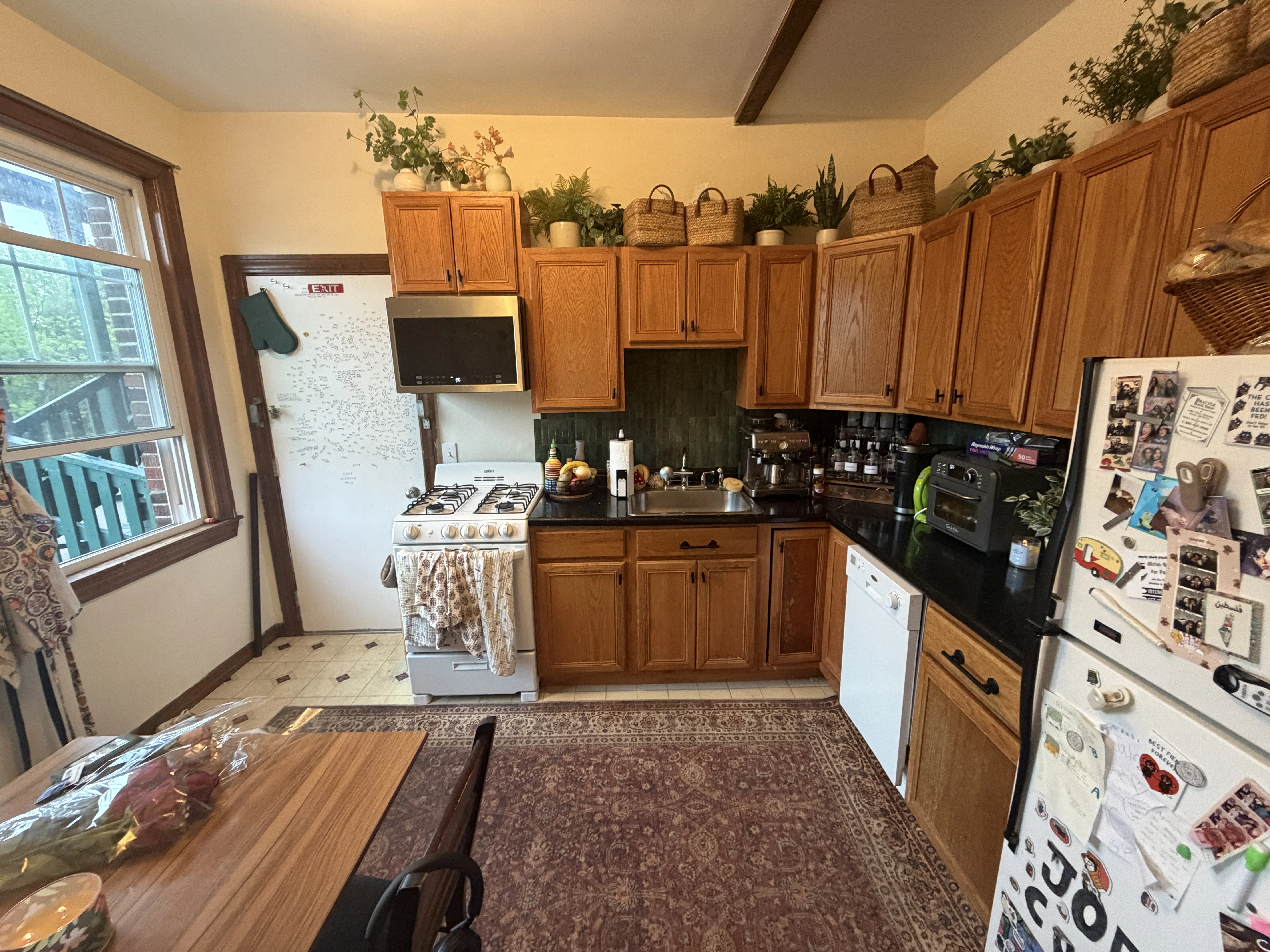 2 bed, 1 bath apartment for rent at 75 Nottinghill Rd Unit 8, Brighton — photo 5 of 12