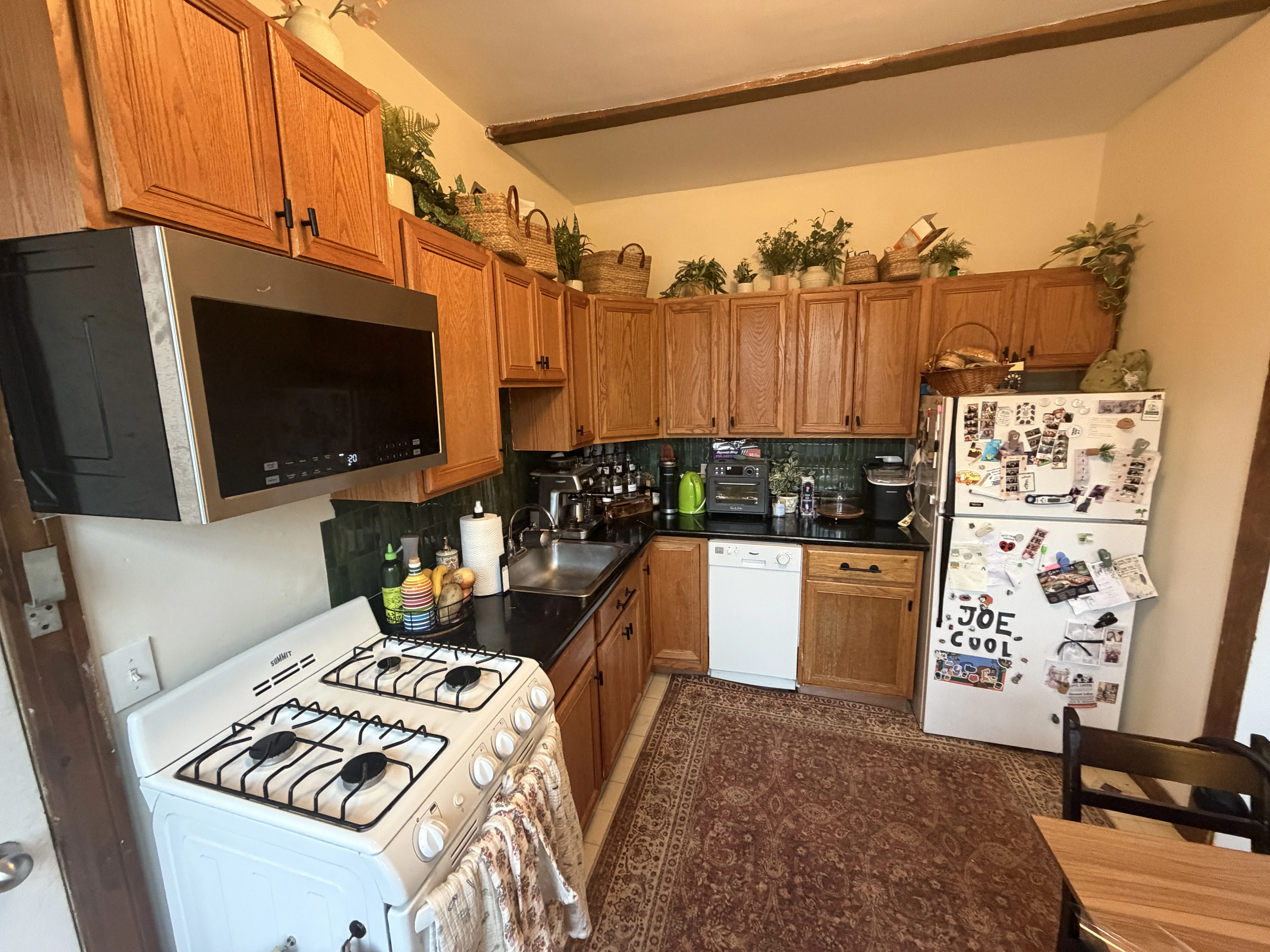 2 bed, 1 bath apartment for rent at 75 Nottinghill Rd Unit 8, Brighton — photo 4 of 12