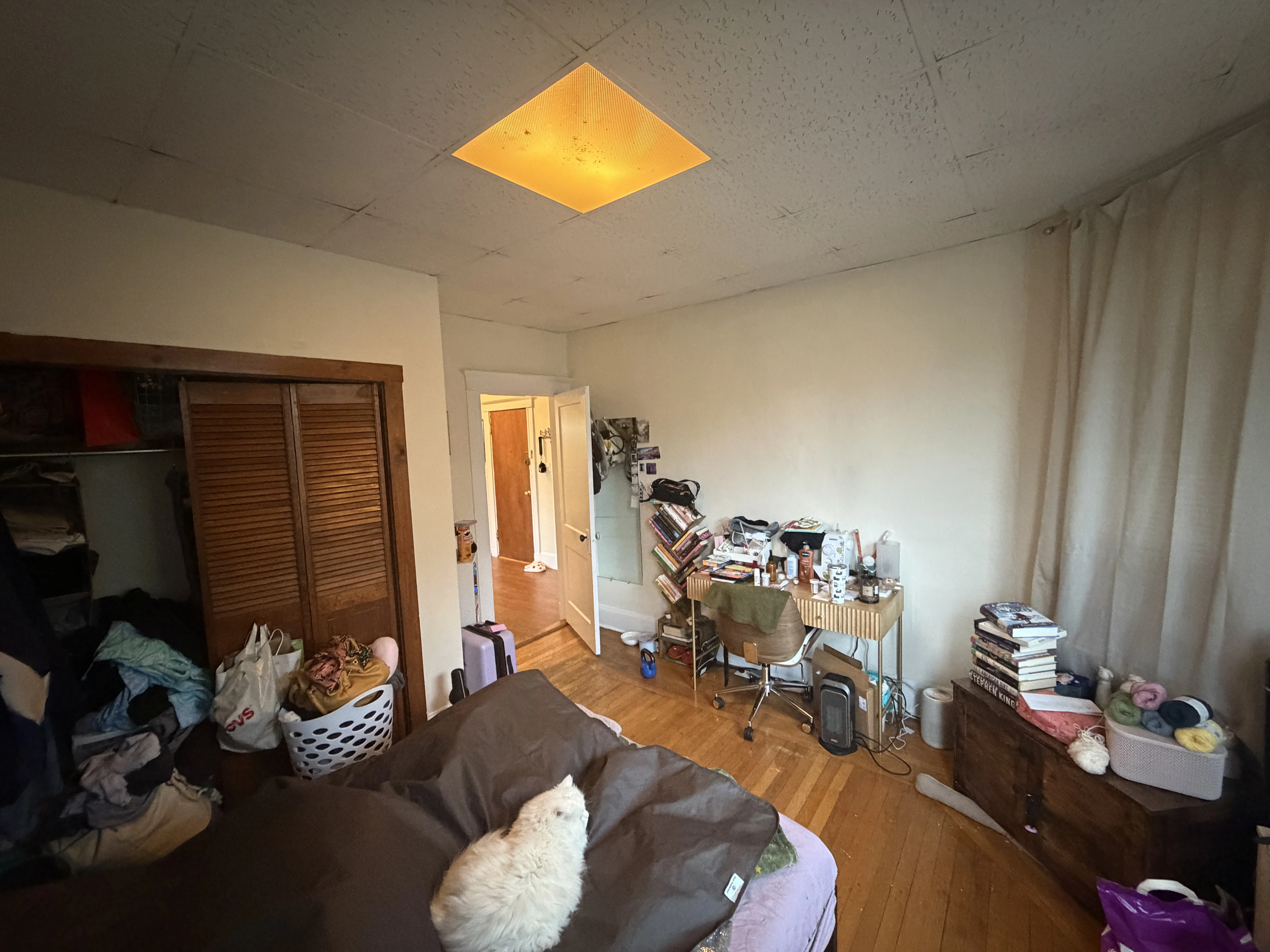 2 bed, 1 bath apartment for rent at 75 Nottinghill Rd Unit 8, Brighton — photo 9 of 12